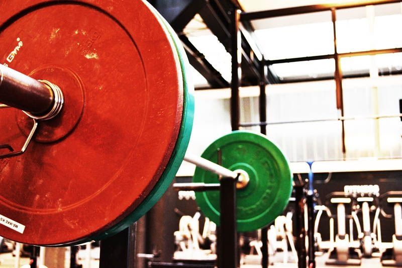 ZONA MUSCULACIÓN